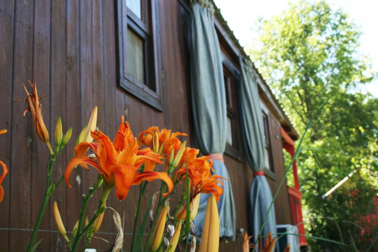 El Sendero - Güiraldes B&B San Antonio de Areco Exterior foto